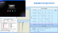 病毒核酸分型定量分析软件